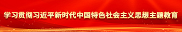 .22岁女人被抡，学习贯彻习近平新时代中国特色社会主义思想主题教育